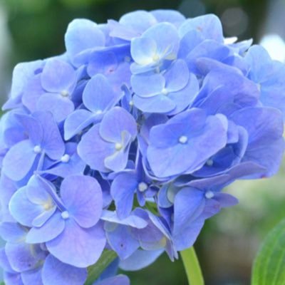 26M0R2DtiK3weN's profile picture. 株初心者