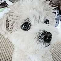 chaxtupu 2 (@chaxtupu2) 's Twitter Profile