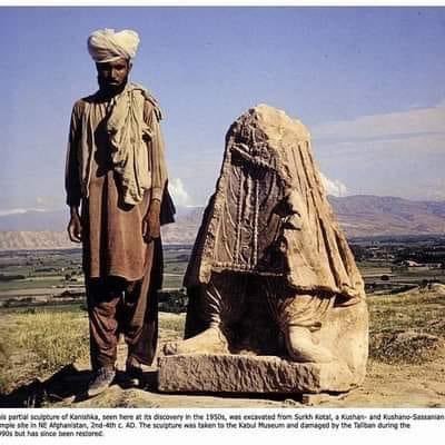 AziziNaqib's profile picture. 