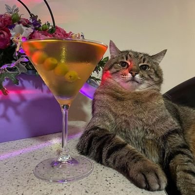 Cronus_Cyber's profile picture. Security Researcher