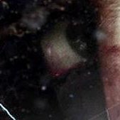 showoff961's profile picture. 11/08/15   15