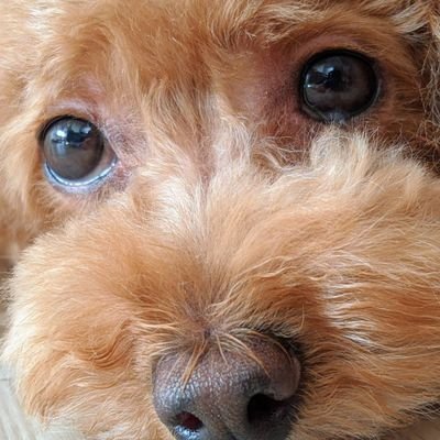 commongood2001's profile picture. 