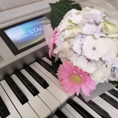 エレクトーンが趣味です🎵相棒はELS-02C バイタライズ🎹大人になってから始めたエレクトーンを10年習い➡️お休み期間12年➡️2021年再開。上手くはないですがエレクトーンが大好き💕楽しんでいます🎶現在はエレクトーンとピアノを月1回のペースでレッスンに行ってます🎹

たまにつぶやきます🤭