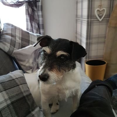 Stephenneary2's profile picture. hate getting old ...