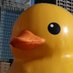 家鴨の家鴨🦆🏠(アヒルノイエカモ?) (@ndvtvqu3wlitqsm) Twitter profile photo 家鴨の家鴨🦆🏠(アヒルノイエカモ?) (@ndvtvqu3wlitqsm) Twitter profile photo
