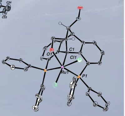 Organometallic Chemistry of 3-dimensional PC(sp3)P Complexes and their application in catalysis || Hebrew University of Jerusalem || Student run lab account
