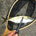 後藤史明(ごっち)@豚骨ラーメンを骨から炊く釣り人 (@targetamberjack) Twitter profile photo 後藤史明(ごっち)@豚骨ラーメンを骨から炊く釣り人 (@targetamberjack) Twitter profile photo