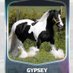 DaGypsey🐎 (@gypseystuff) Twitter profile photo DaGypsey🐎 (@gypseystuff) Twitter profile photo