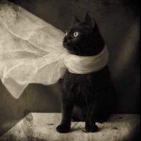 Deloris Petty PhD πππ»π₯Έ (@tottiebarnes) 's Twitter Profile