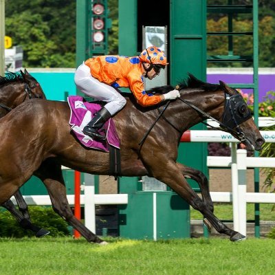 danielt24446799's profile picture. 