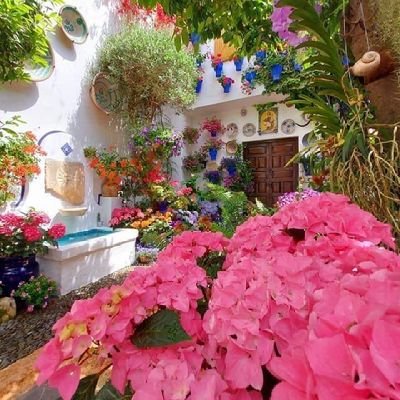 Cihan_turk1401's profile picture. 