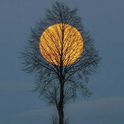 Alessis2021's profile picture. me prometí éxito, y éxito tendré.