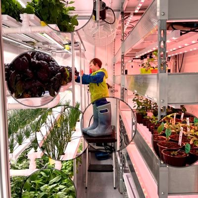 Chef and Vertical Hydroponic Container Farmer @wallyfarms