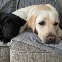 Lynn (@lynnpoole84) 's Twitter Profile