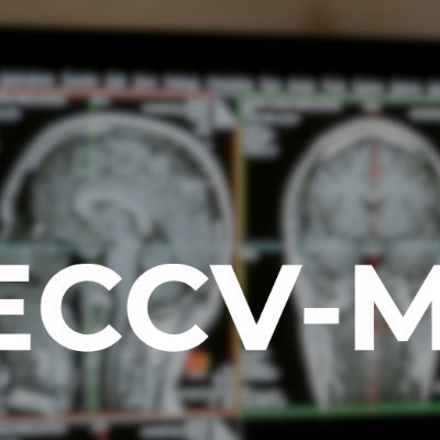 MedComVision's profile picture. In conjunction with @CVPR. @mert @AyeletBallin, Tammy Riklin-Raviv, Moti Freiman, @yuyinzhou_cs, @MathiasUnberath, @arbtal, @CammaLab, @QiDou_, @bazile