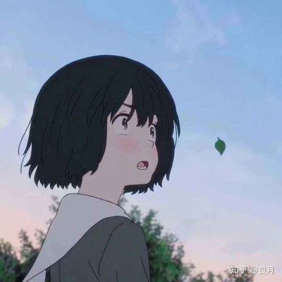 cnmvbdkj's profile picture. 研究空投