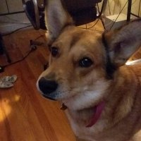 Non-Theatrical Singularity (@singularitynon) 's Twitter Profile
