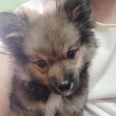 AmongbaJamir's profile picture. Work smart not hard
