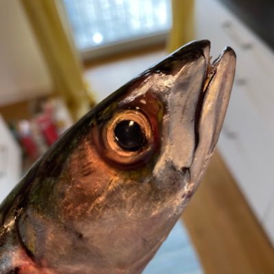 NastasiaTaran's profile picture. lighting artist