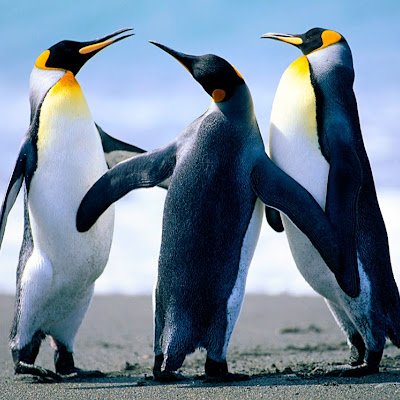 RupeshM12254033's profile picture. self employed