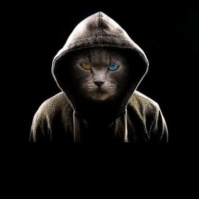 WOLFDOG89852069's profile picture. milan