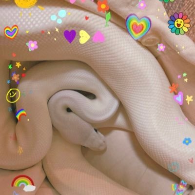 yeajiu123's profile picture. 