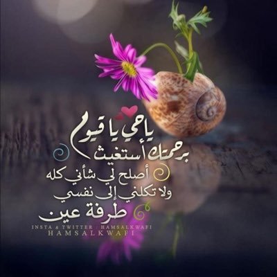 اللهم أحسن لي الخاتمة وارزقني الثبات عند الممات .. ولاتحرمني لذة النظر إلى وجهك الكريم .. 🍃إنها دنيا فلنجتهد ونحسن العمل فيها ... 🍃🍃
