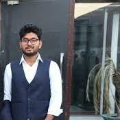 जाकी रही भावना जैसी, प्रभु मुरत देखी तिन तैसी
I write code