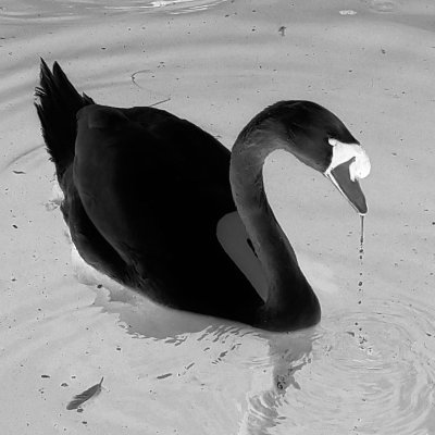 PhD student at CISPA, cybersecurity researcher. I like malware, exploits and ducks. My projects: https://t.co/em4dyPsOfh
