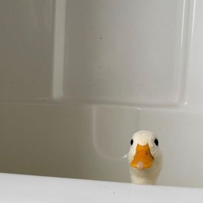 gulogulo__'s profile picture. 