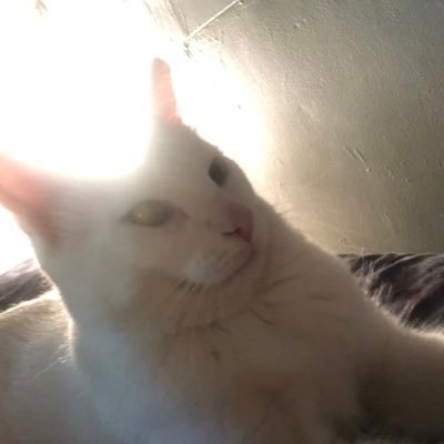 homonymousodd's profile picture. Reformed Christian artist once trained in the dark arts of Critical Race Theory | Still gotta crush on Derrida | I use first person pronouns