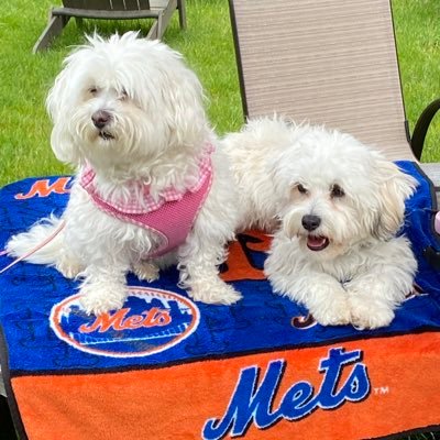 puppymom75's profile picture. 