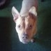 Letha Jeffers (@letha_jeffers) Twitter profile photo Letha Jeffers (@letha_jeffers) Twitter profile photo