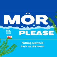 Môr Please (@mor_please) 's Twitter Profile