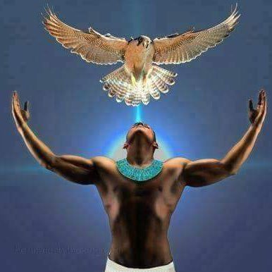 انا من الارض التى ولد بها نبى وعاش بها نبى ودعا لها نبى وتجلى بها الرحمن وذكرت فى القرآن الكريم ومصريه وافتخر ممنوع دخول الخرفان الخاص ممنوع حساب بديل