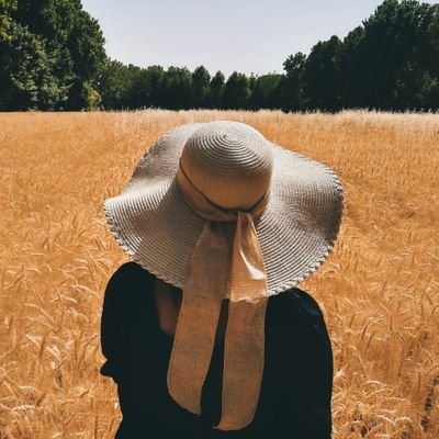 AIDA_BI5's profile picture. 🌻