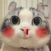 Doublepj (@doublepj2) 's Twitter Profile