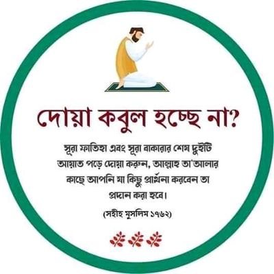 JanyKamal's profile picture. Kamal khan