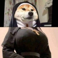 🍯Kum (@kuniuma) 's Twitter Profile