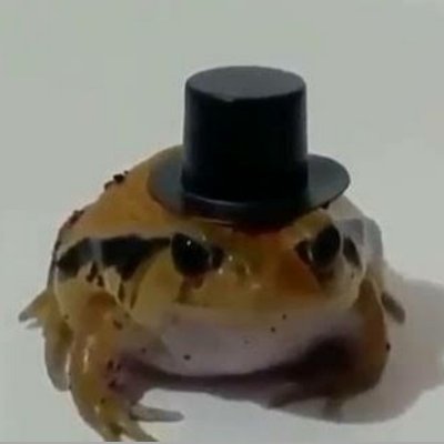 jotaPe250's profile picture. nunca miren a quienes sigo