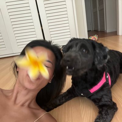 abbylhuang's profile picture. 