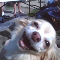 eren (@lunasrainn) 's Twitter Profile