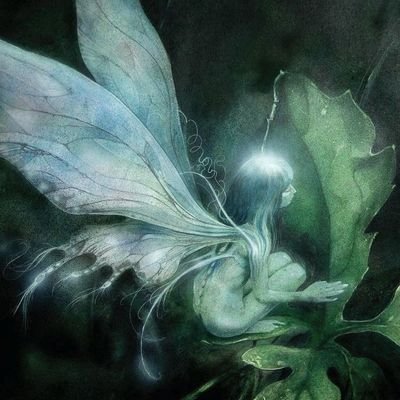 lacg2913's profile picture. tomate é um fruto