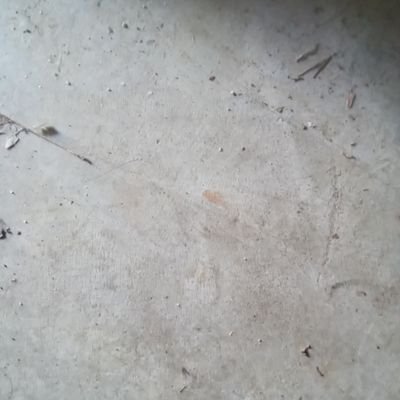 Spark Profile
