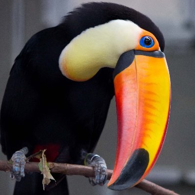 Arbinger Profile