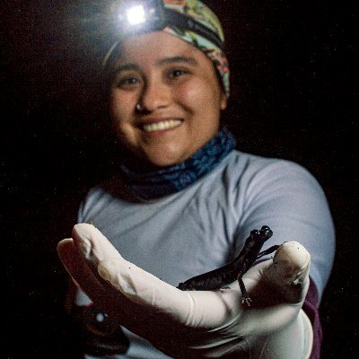 I like frogs, snakes and being in the jungle. Biology student USAC, Herpethology 🐸🐸🦎🐍🐢🐊 @EDGEofExistence Fellow 2021-2023