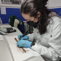 Karloti || Nigromante legal (@karloti99) 's Twitter Profile