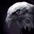 EricRocha_adv's profile image