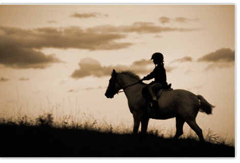 PeterDylan1's profile picture. 