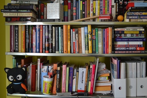 Three girls who love to read and want to tell you about it.